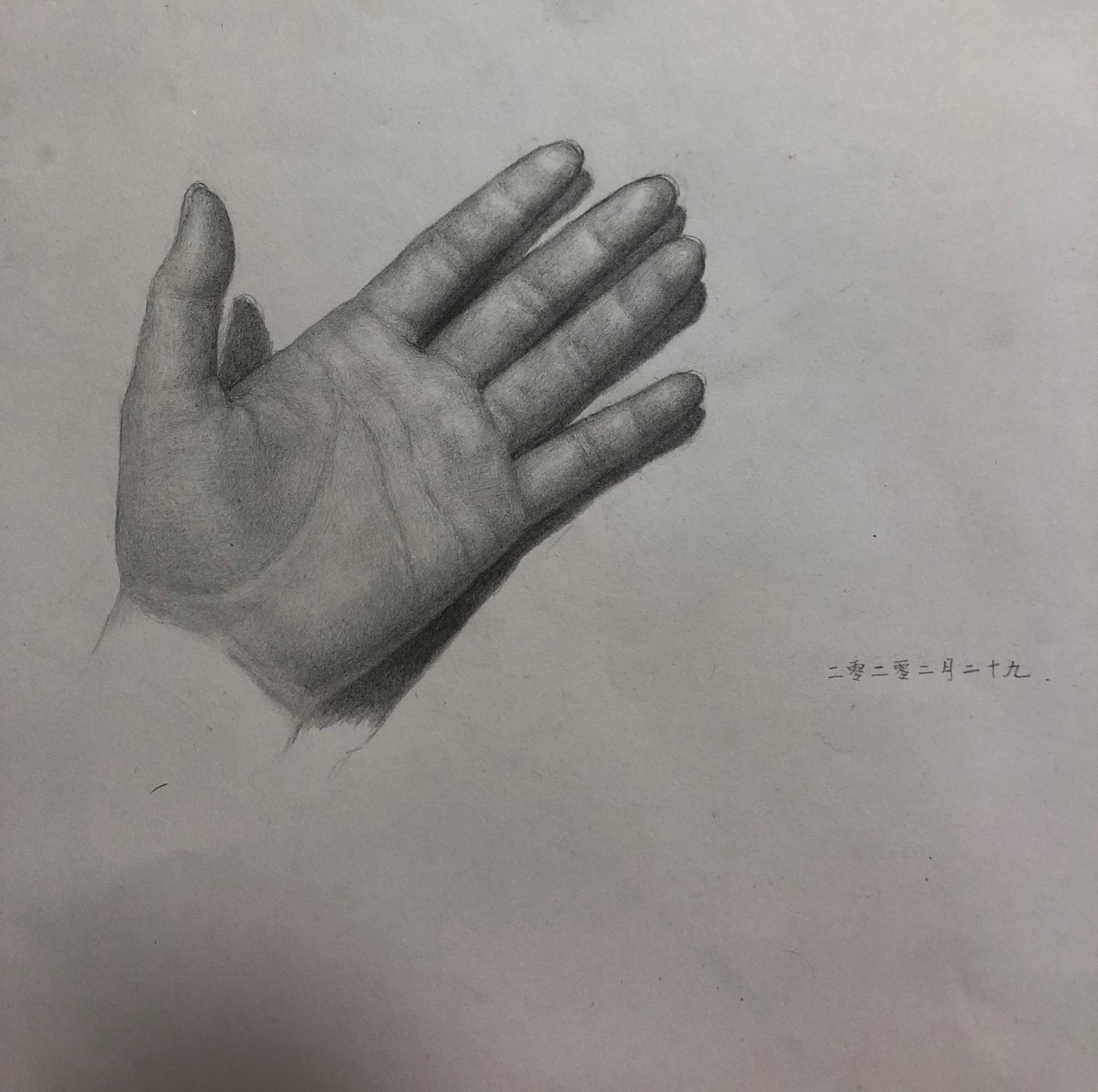 一堂云好课丨央美油画系的素描课仅仅是素描